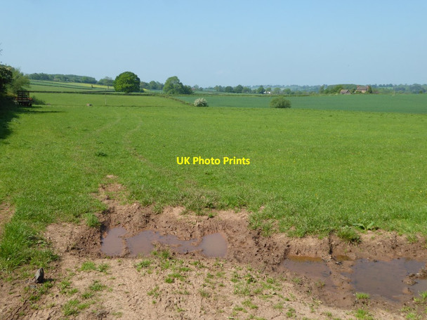 Photo 6"x4" Grafton Field Golder Field c2017