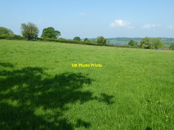 Photo 6"x4" A glimpse of solar panels Golder Field c2017