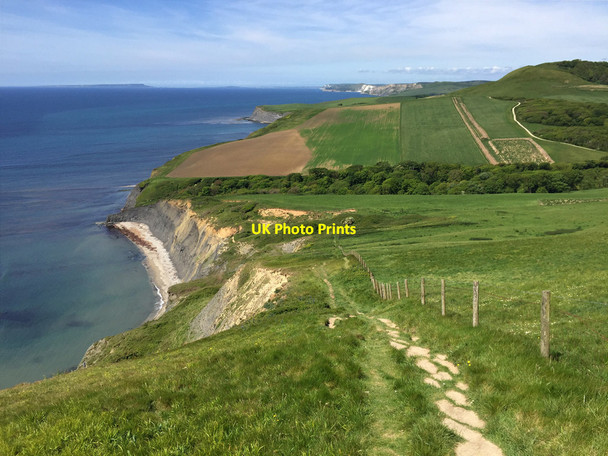 Photo 6"x4" South West Coast Path at Houns-tout Cliff Kingston\/SY9579 c2017