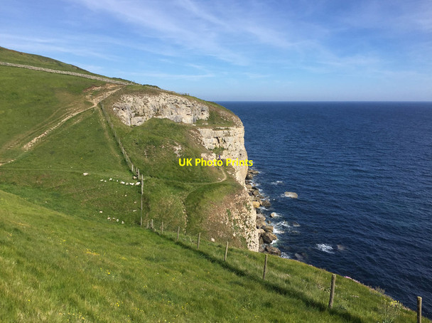 Photo 6"x4" The South West Coast Path approaching Blackers Hole Swanage c2017