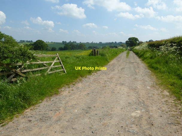 Photo 6"x4" Bridleway to Honeycombe Farm Kyre Green c2017