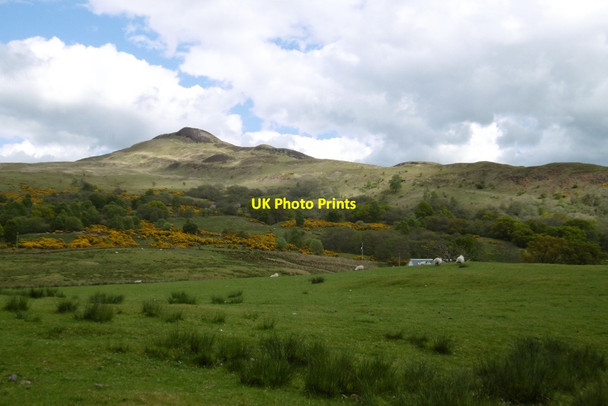 Photo 6"x4" Arrochymore Point Balmaha c2017