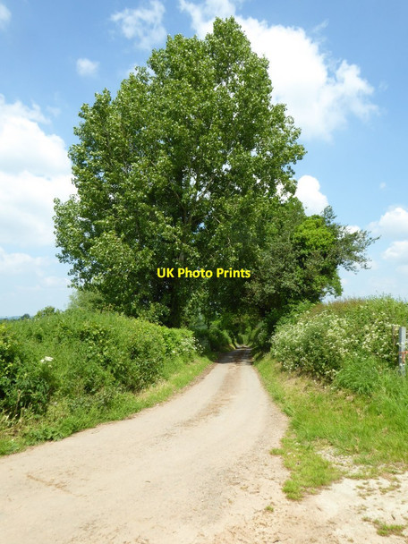 Photo 6"x4" Road to Lower Berrington Stony Cross\/SO5466 c2017