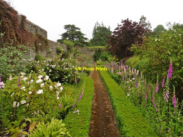 Photo 6"x4" Herbaceous borders, Farfield House Stringston c2017
