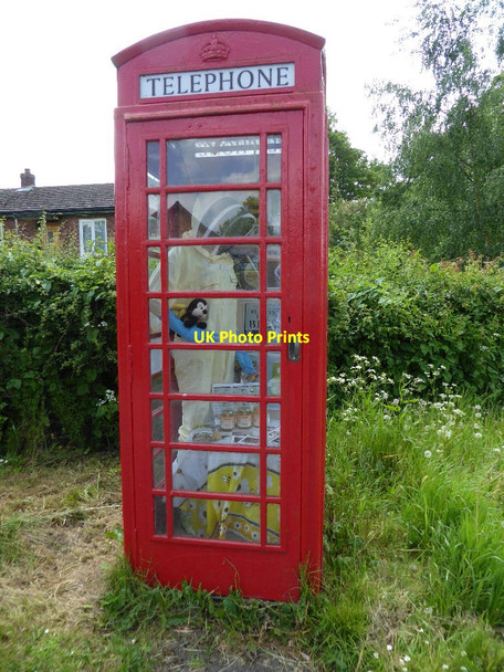 Photo 6"x4" A beekeeper in a telephone box St Michaels\/SO5865 c2017