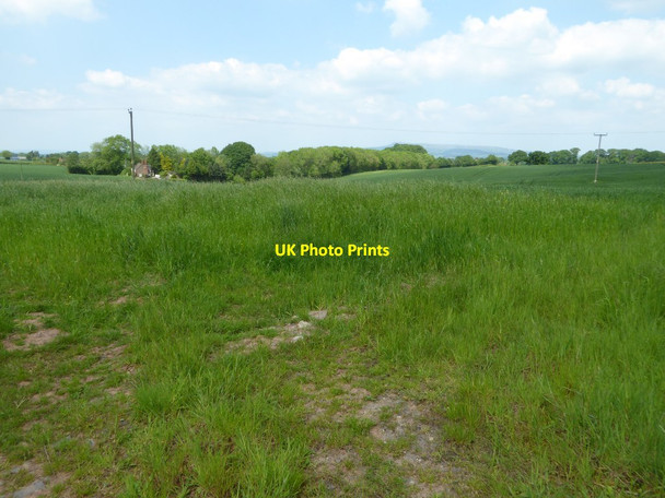 Photo 6"x4" Farmland near Miles Hope Leysters c2017