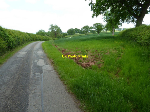 Photo 6"x4" Country road near Leysters church Leysters c2017