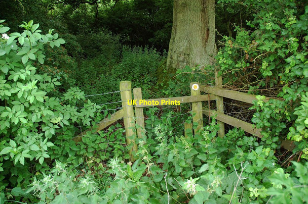 Photo 6"x4" Stile on public footpath, near High Cogges, Witney, Oxon Witney c2017