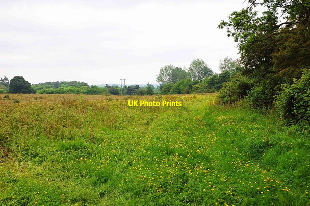 Photo 6"x4" Field near High Cogges, Witney, Oxon Witney c2017