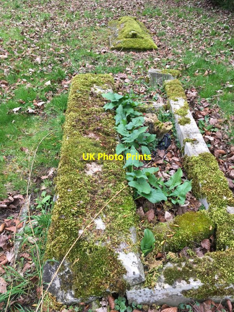 Photo 6"x4" Moss on the Tombs Chislehampton c2017