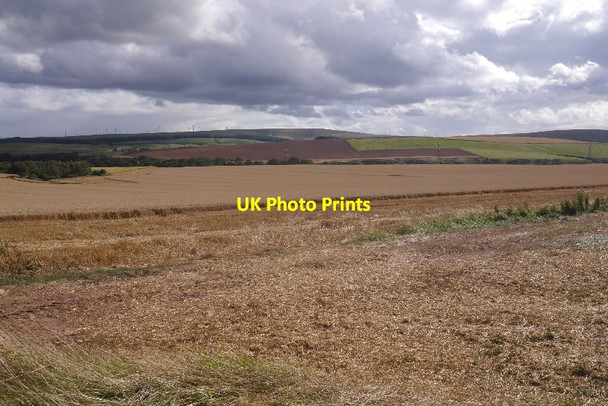 Photo 6"x4" Arable land, Spott Spott\/NT6775 c2016