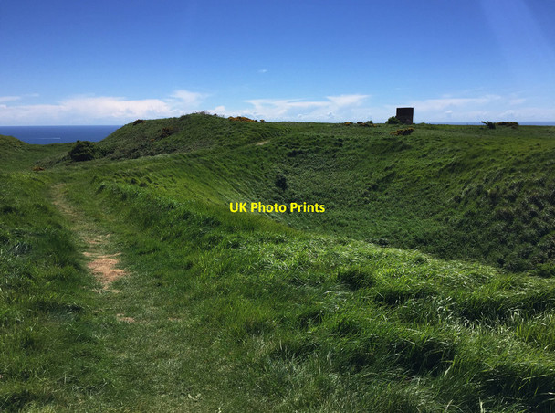 Photo 6"x4" South West Coast Path at White Nothe Chaldon Herring or East Chaldon c2017