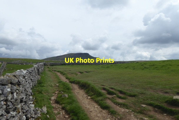 Photo 6"x4" Path towards Pen-y-ghent Brackenbottom c2017
