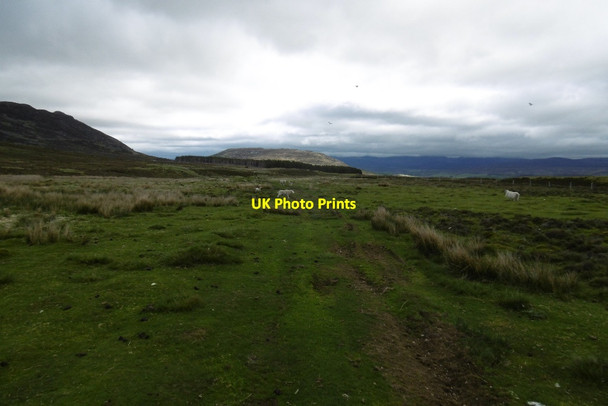 Photo 6"x4" Track behind Stone Strone\/NH7100 c2017