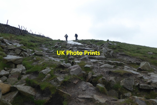 Photo 6"x4" Path to the summit Brackenbottom c2017