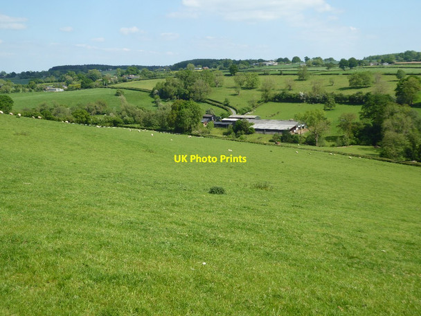 Photo 6"x4" View to Whyle Mill Brockmanton c2017