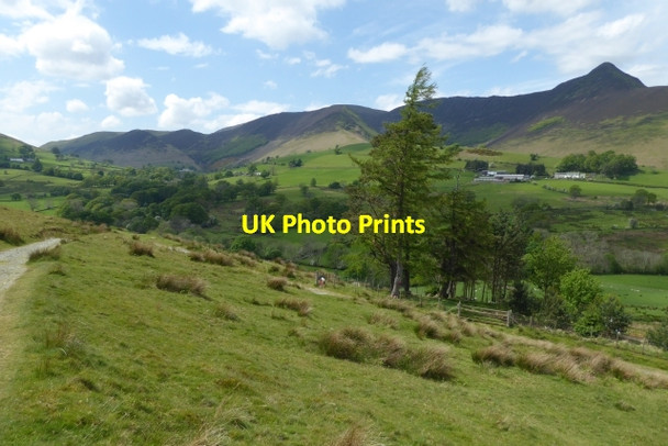 Photo 6"x4" Path along the Newlands valley Little Town\/NY2319 c2017