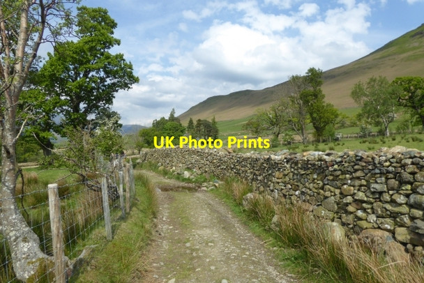 Photo 6"x4" Track to Skelgill Little Town\/NY2319 c2017