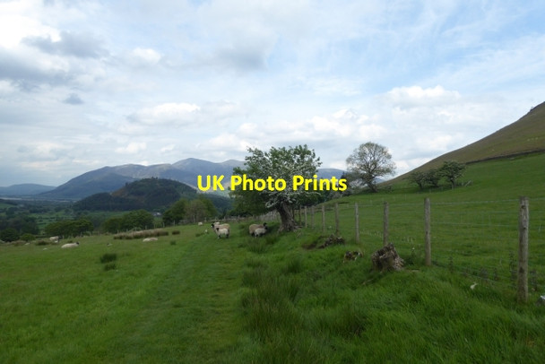 Photo 6"x4" Footpath to Skelgill Newlands\/NY2320 c2017