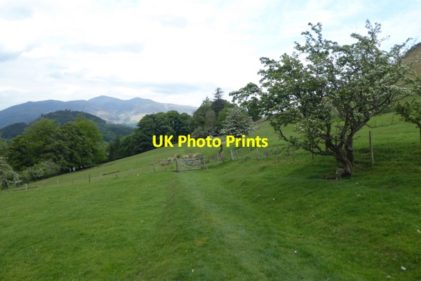 Photo 6"x4" Footpath from Little Town Newlands\/NY2320 c2017