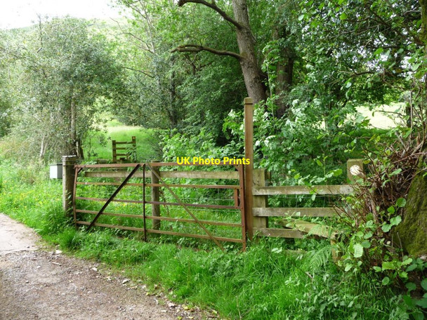 Photo 6"x4" Public footpath to Loxidge Llanthony c2017