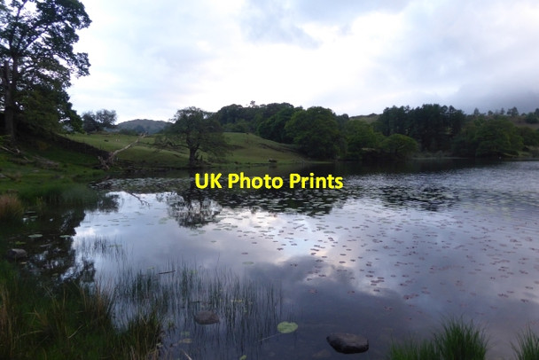 Photo 6"x4" Eastern side of Loughrigg Tarn Skelwith Bridge c2017