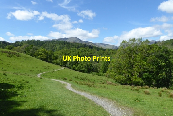 Photo 6"x4" Path to Colwith Bridge Skelwith Bridge c2017