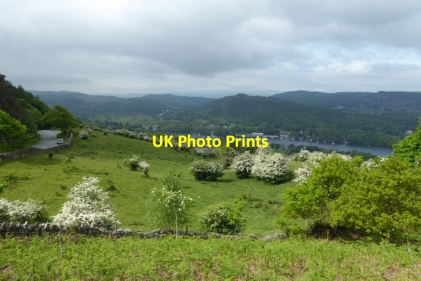 Photo 6"x4" Field beside the Gummer's How path Lakeside\/SD3787 c2017