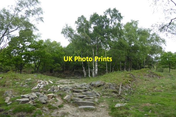 Photo 6"x4" Footpath to Gummer's How Cartmel Fell c2017