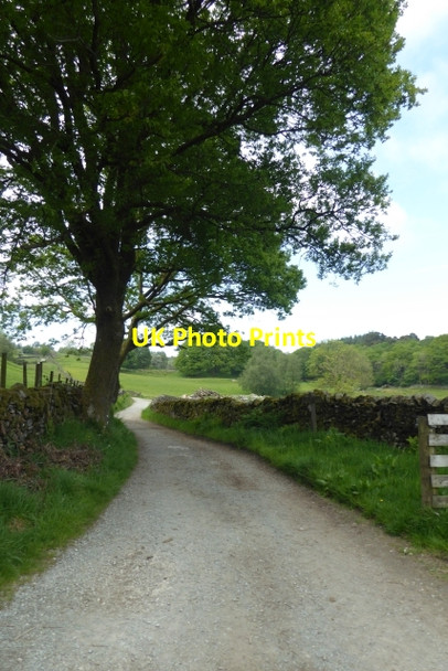 Photo 6"x4" Track to Moss Eccles Tarn Far Sawrey c2017