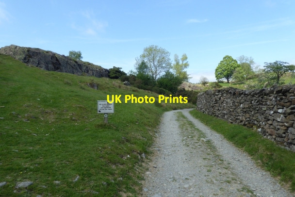 Photo 6"x4" Track under Moss Eccles Tarn Far Sawrey c2017