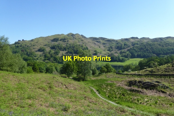 Photo 6"x4" Paths below Neaum Crag Skelwith Bridge c2017