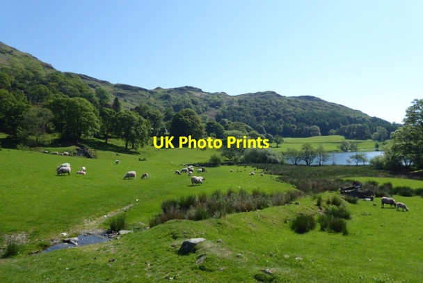 Photo 6"x4" Stream near Loughrigg Tarn Skelwith Bridge c2017