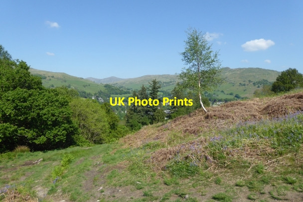 Photo 6"x4" Path on Miller Brow Ambleside c2017
