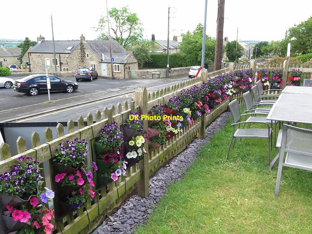 Photo 6"x4" Old Hexham Road in Horsley from The Hearth Cafe garden Horsley\/NZ0966 c2017