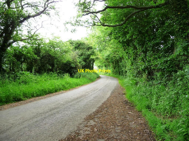 Photo 6"x4" The road to Clodock Walterstone c2017