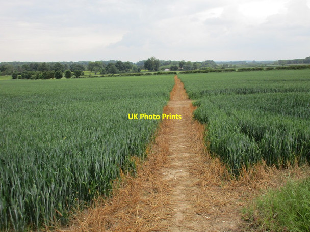 Photo 6"x4" Footpath to Neswick Lane Bainton\/SE9652 c2017