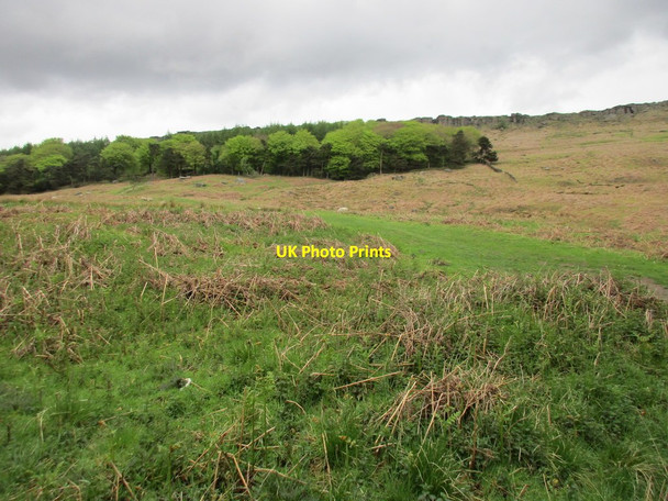 Photo 6"x4" Stanage Plantation and Stanage Edge Hathersage c2017