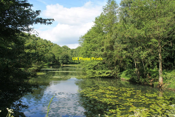 Photo 6"x4" Ravenfield Ponds Ravenfield c2017