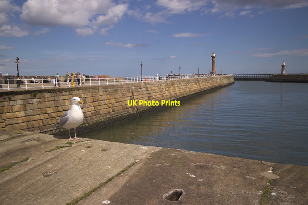 Photo 6"x4" West Pier, Whitby Whitby\/NZ8910 c2017