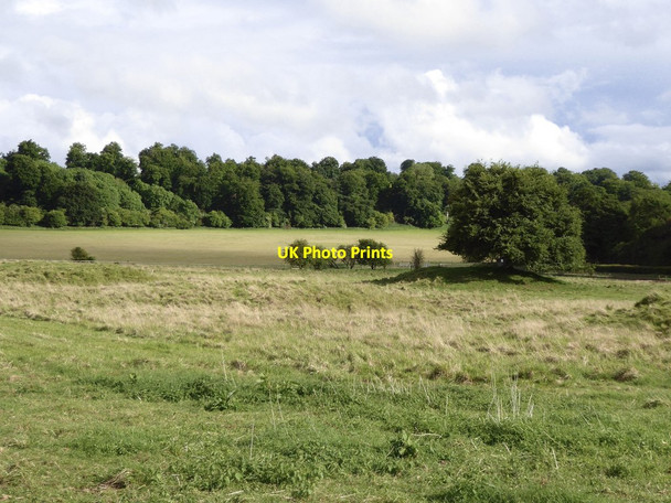 Photo 6"x4" The Seven Barrows nature reserve Upper Lambourn c2017