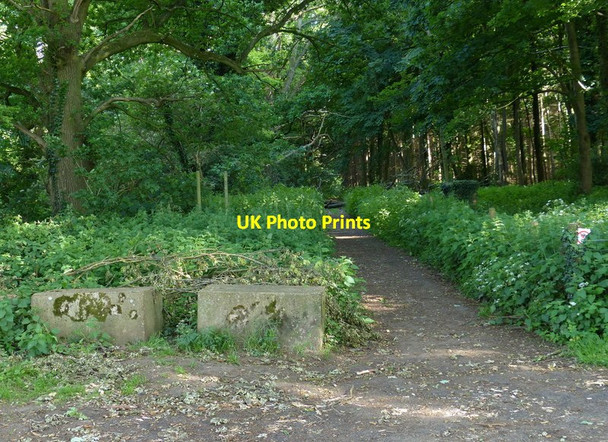 Photo 6"x4" Peddars Way crossing Tottington Road Pockthorpe\/TL9196 c2017