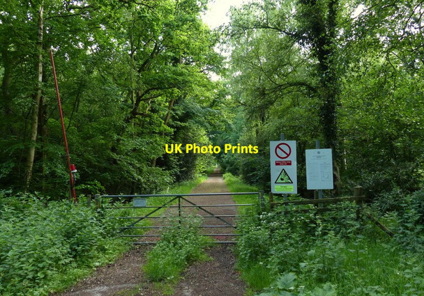 Photo 6"x4" Track leading into the Stanford Training Area (STANTA) Pockthorpe\/TL9196 c2017