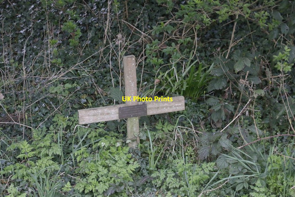 Photo 6"x4" Lost in the Weeds Exlade Street c2017
