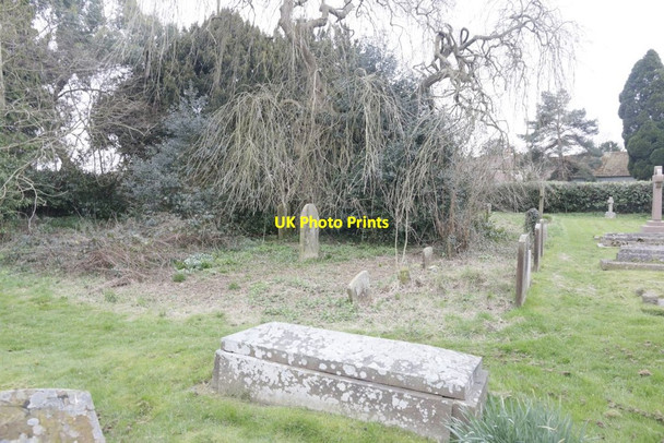 Photo 6"x4" Overgrown Area Exlade Street c2017