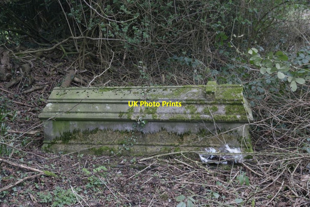 Photo 6"x4" Uncovered Tomb Exlade Street c2017