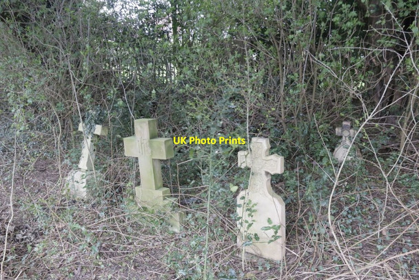 Photo 6"x4" Crosses in the Undergrowth Exlade Street c2017
