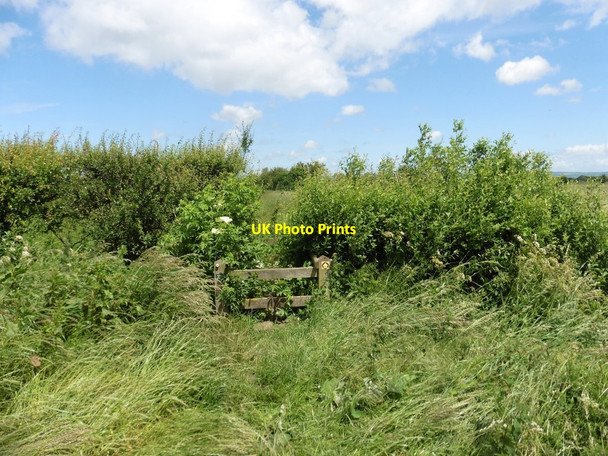 Photo 6"x4" Stile and footbridge on Bullmead path Street\/ST4836 c2017