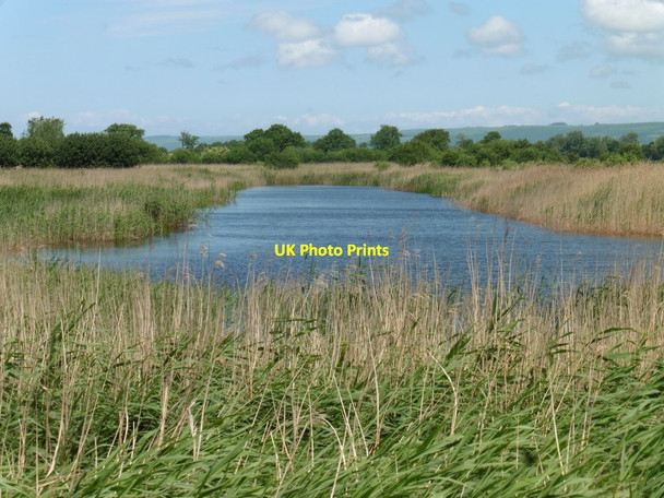 Photo 6"x4" Old peat diggings on Hulk Moor Street\/ST4836 c2017