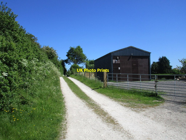 Photo 6"x4" Track off Back Lane, Weaverthorpe Weaverthorpe c2017